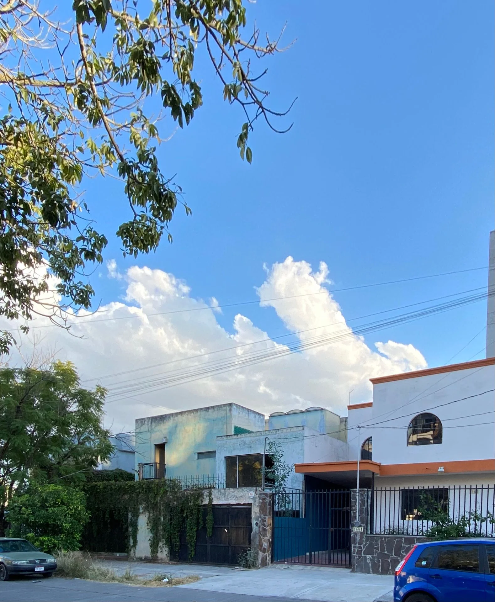 PLENUS - Imagen 2 en Americana, Guadalajara