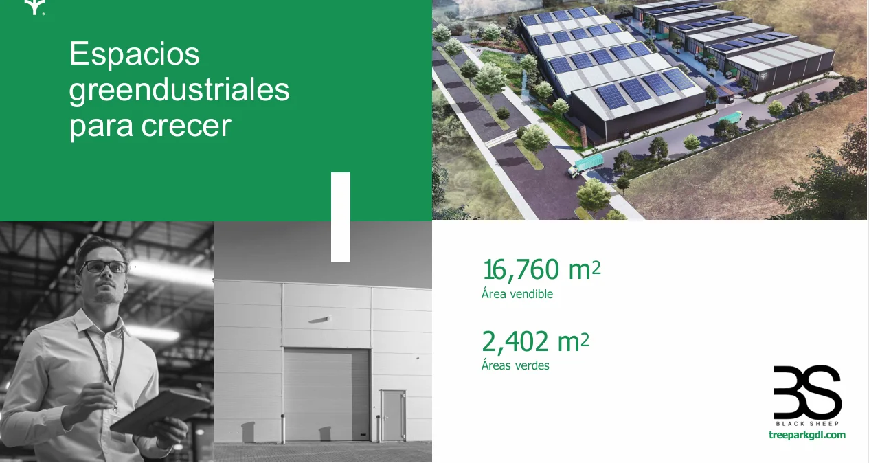 TREE PARK - Imagen 2 en Valle de la Misericordia, Tlaquepaque