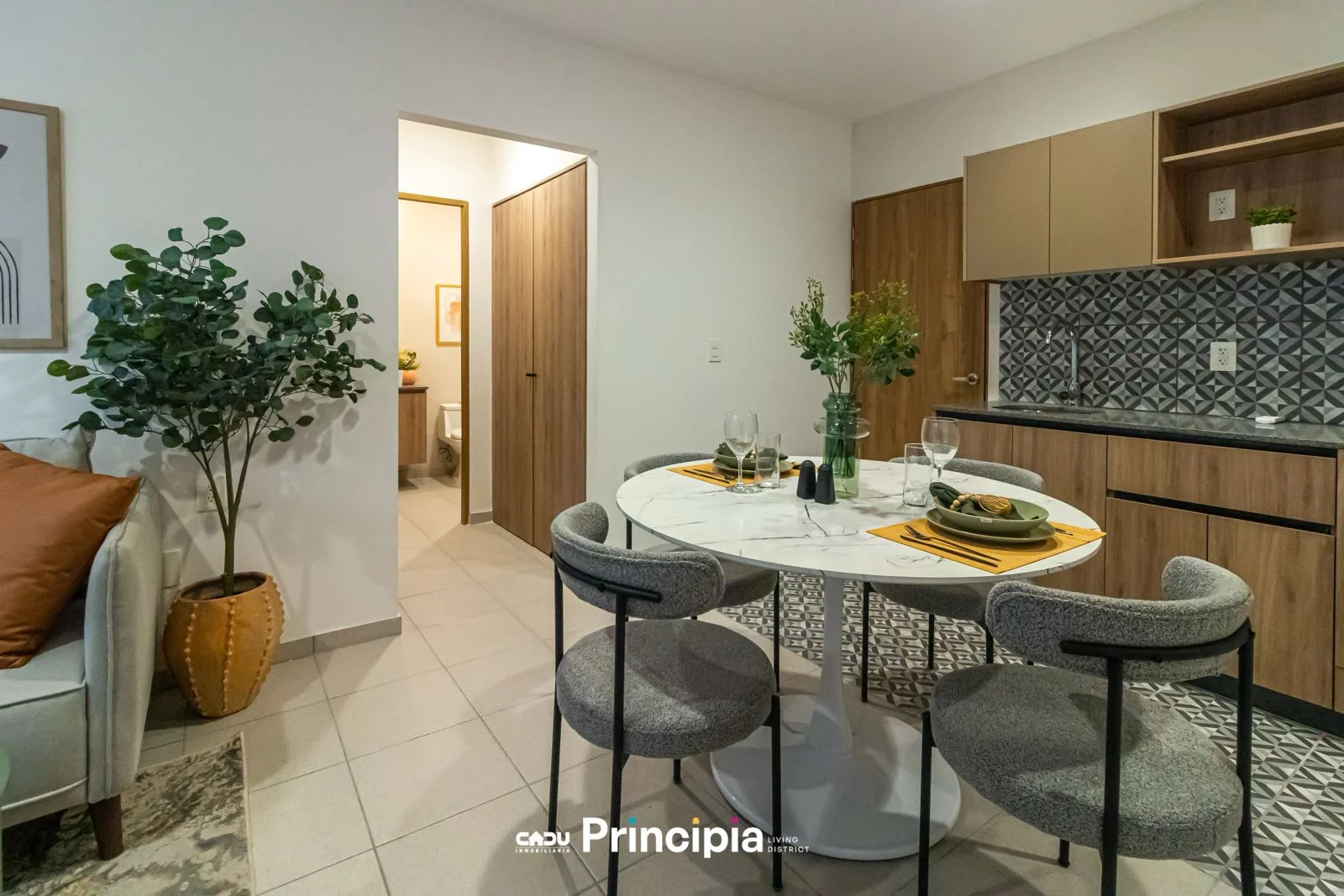 PRINCIPIA - Imagen 4 en Quinta Velarde, Guadalajara