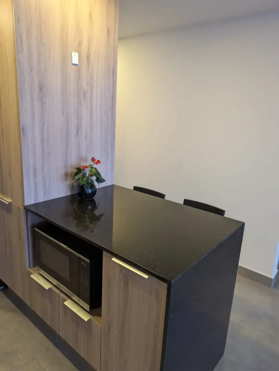 DEPARTAMENTO AMUEBLADO EN RENTA - Imagen 1 en El Vigia, Zapopan
