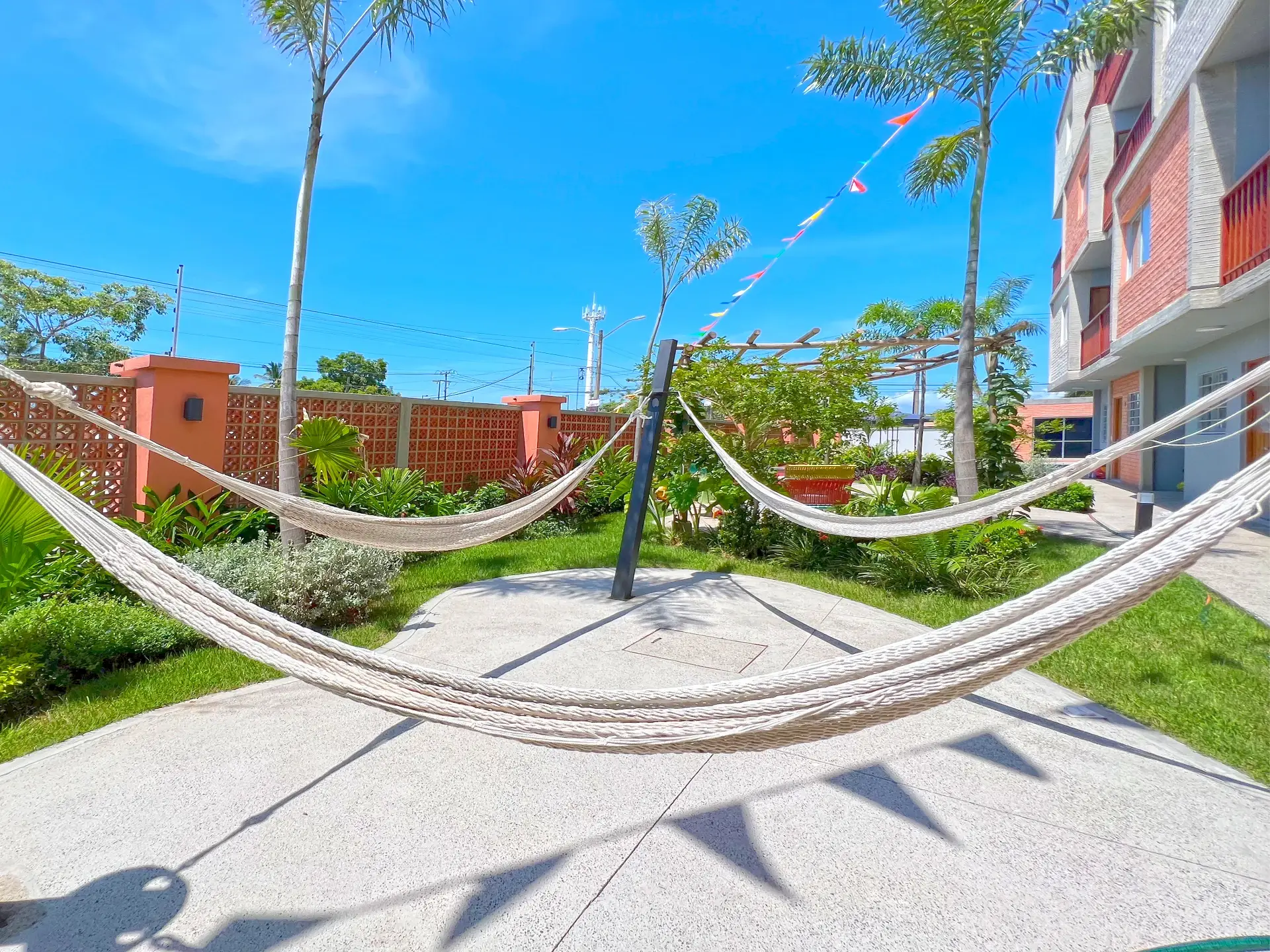 CORAS - Imagen 5 en Parque Las Palmas, Puerto Vallarta